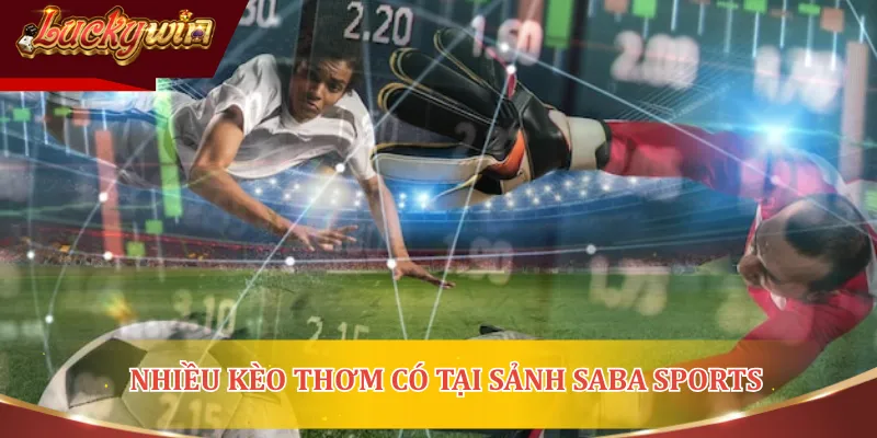 Nhiều kèo thơm có tại Sảnh Saba Sports để hội viên dễ dàng lựa chọn