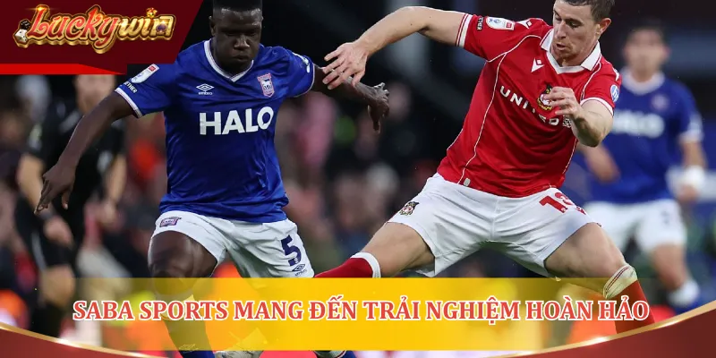 Sảnh Saba Sports mang đến những trải nghiệm hoàn hảo cho người yêu thể thao